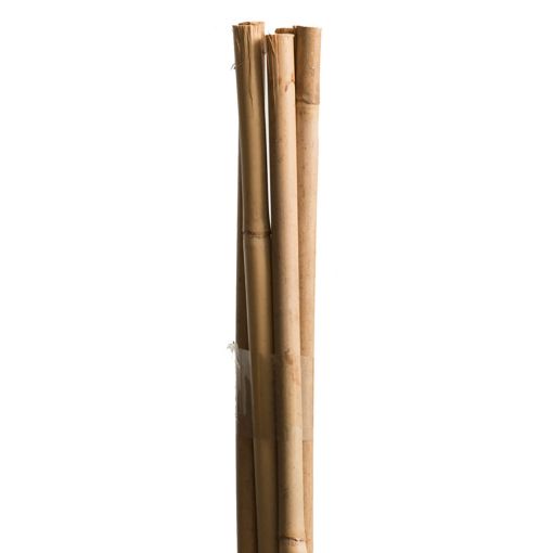 Windhager tonkinstaven plantsteun bamboe 2