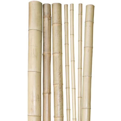 Windhager Bamboe-plantsteun 250x4,5-6 cm 2