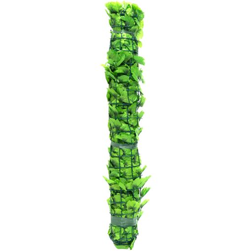 Windhager schutting Labrusca 2