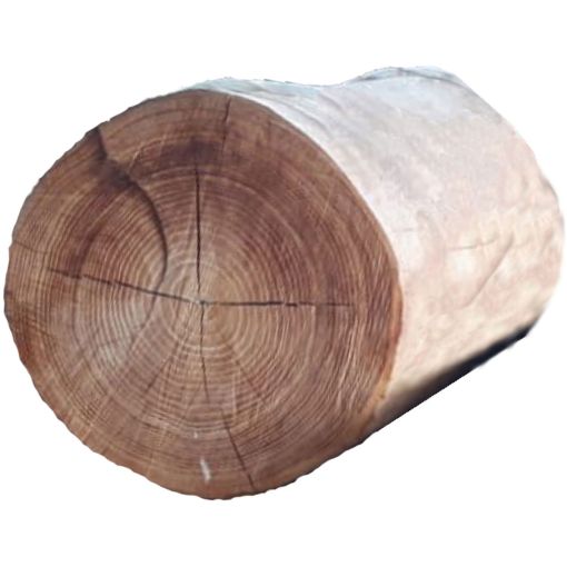 T&J Boomstambank/Boomstronk/Zit- of Speelpaaltje ROBINIE 2