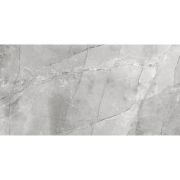 Wellker Tegels Morelia Grey geglazuurd 6