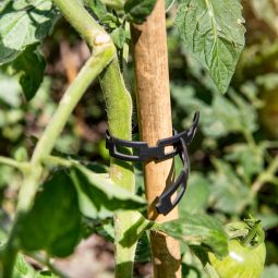 Windhager tonkinstaven plantsteun bamboe 5