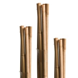 Windhager tonkinstaven plantsteun bamboe 3
