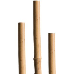 Windhager tonkinstaven plantsteun bamboe 6