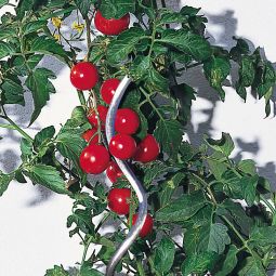 Windhager tomaten-spiraalstok 150 cm glansverzinkt 3