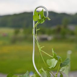 Windhager tomatentorspirale met haken 180 4