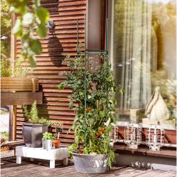 Windhager tomaten-rankturm rankhulp voor potten 3