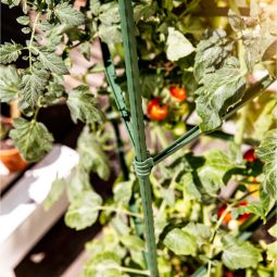 Windhager tomaten-rankturm rankhulp voor potten 5