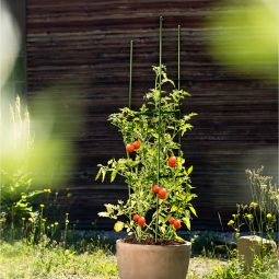 Windhager tomaten-rankturm rankhulp voor potten 4