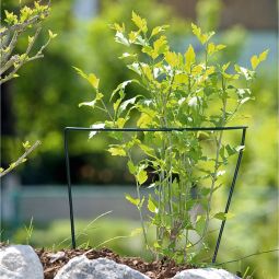 Windhager steunstok plantenbak 4