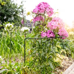 Windhager steunstok plantenbak 6