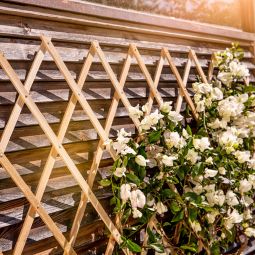 Windhager houten rankhilfe plantensteun rosterwerk 3