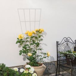 Windhager rasterspaljé Plantensteun 150 cm 3