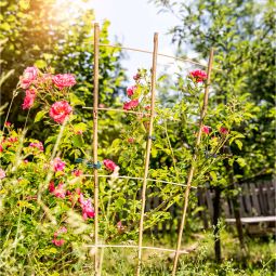 Windhager bamboe-rankrooster plantensteun 4