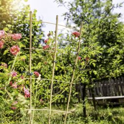 Windhager bamboe-rankrooster plantensteun 4
