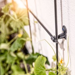 Windhager rasterspaldeel plantensteun plantenrooster antraciet 4