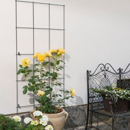 Windhager rasterspaldeel plantensteun plantenrooster antraciet 3