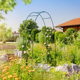 Windhager Rosenboog Basic Plantensteun, groen 3