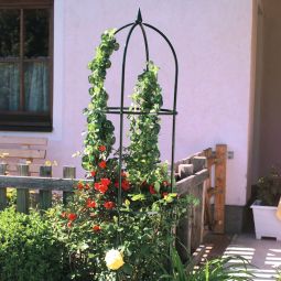 Windhager Obelisk plantensteun, groen 193x42cm 3