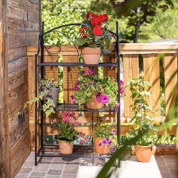 Windhager plantenrek 3-traps, 58x31x100 cm 3