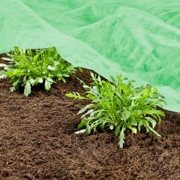 Windhager Tuin-Fleece SUPERGROW 20 g/m² 4