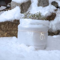 Windhager Winter-Koudebeschermingsfolie Vorstbescherming 5x1m 60µm 5