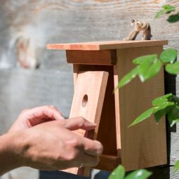 Windhager Nistkasten Birdy Vogelhuisje Brutkas 3