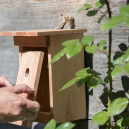 Windhager Nistkasten Birdy Vogelhuisje Brutkas 3