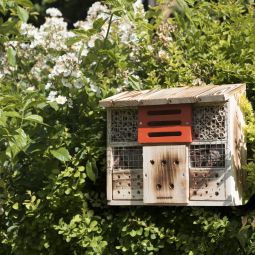 Windhager Insectenhotel Zur Linde Insectenhuisje 4