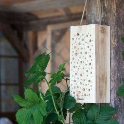 Windhager nesthout voor wilde bijen 3