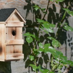 Windhager Nestkast 3 in 1 4