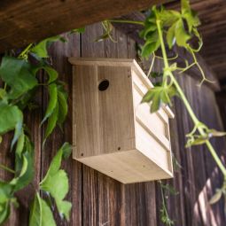 Windhager Nistkasten Twinhouse Sparrow Vogelhuisje 4