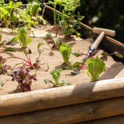 Windhager Jute-Vlies verhoogde plantenbak mat 4