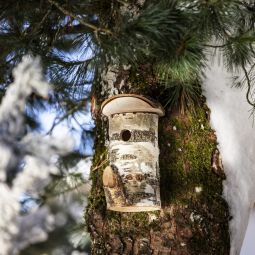 Windhager vogelhuisje Wildkogel 4