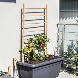 Windhager houten plantensteun ladder 6