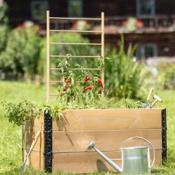 Windhager houten plantensteun ladder 3
