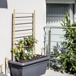 Windhager houten plantensteun ladder 4