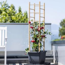 Windhager Houten Plantensteun Toren 29x29x145 3
