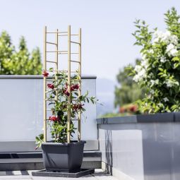 Windhager Houten Plantensteun Toren 29x29x145 3
