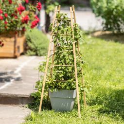 Windhager houten plantensteun Pyramide 50x50x145 3