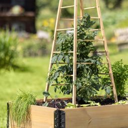 Windhager houten plantensteun Pyramide 50x50x145 6