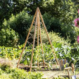 Windhager houten rankhilfe Tipi 75x75x145 3
