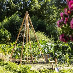 Windhager houten rankhilfe Tipi 75x75x145 4