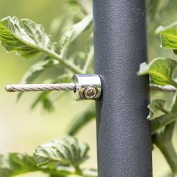 Windhager roestvrijstalen kabel-plantensteun 7