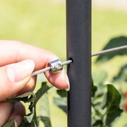 Windhager roestvrijstalen kabel-plantensteun 6