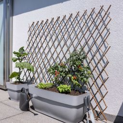 Windhager Wilgen-spalierranksteun uitschuifbaar 8