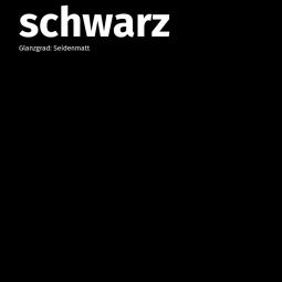 Remmers Deckfarbe zwart 3