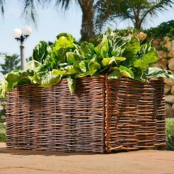 Verhoogde plantenbak uit wilgen 100x40x40cm 5