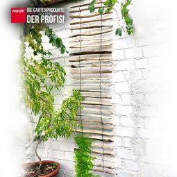 NOOR Hazelaar-plantensteun 50x200 cm 4