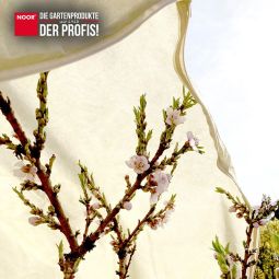 NOOR Winterbescherming kap XL PRO 5